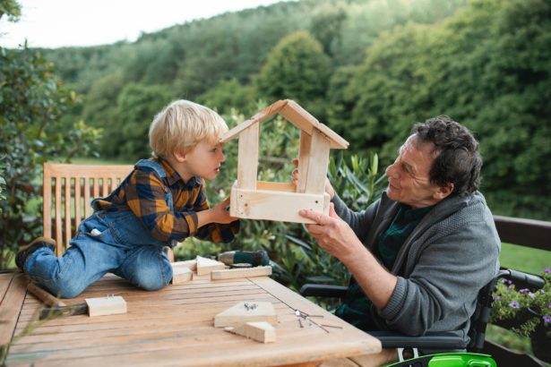 Small boy with senior grandfather in wheelchair constructing birdhouse, diy project.